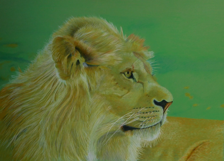 Lion Benjamin Self