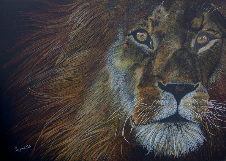 Lion (study) Benjamin Self