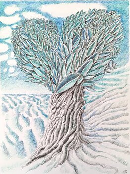 Olivenbaum Angelika Maertterer