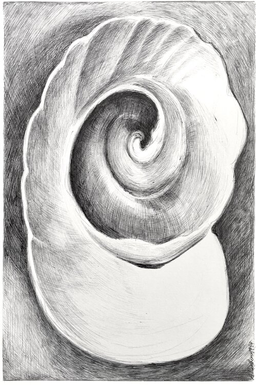 The inner shell, Ballyconneely, Irische Küste Angelika Maertterer