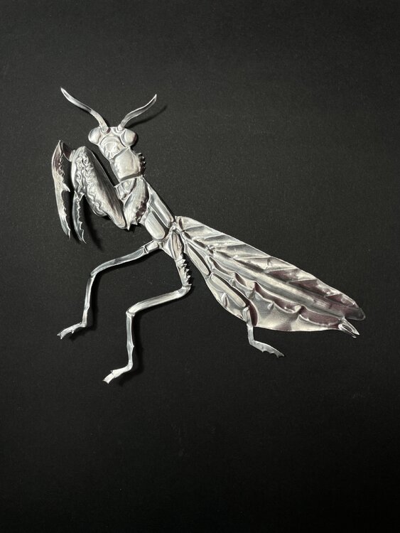 Mantide Religiosa Paola Maccioni