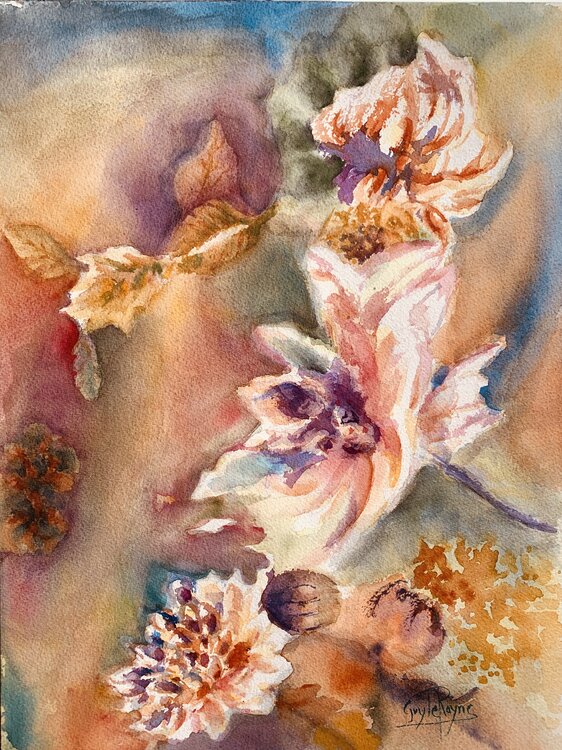 Le dahlia Guyle RAYNE