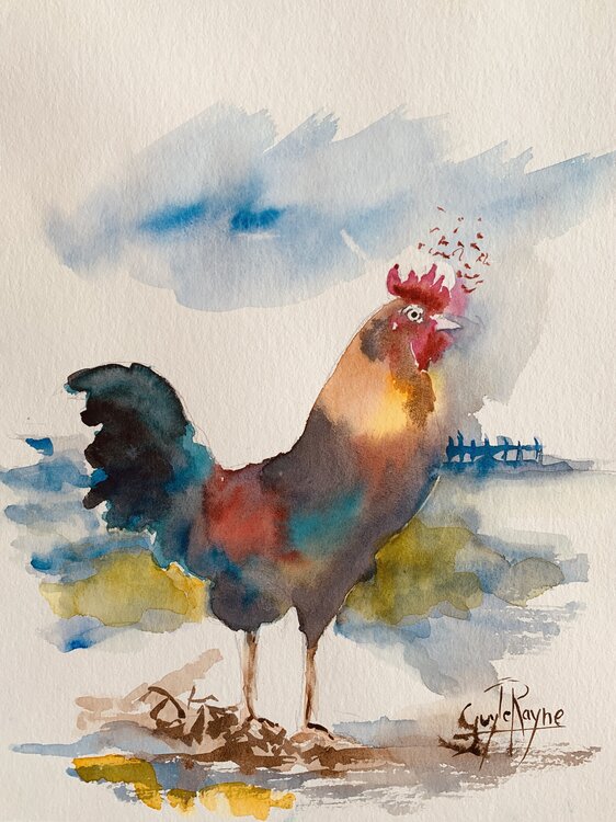 Le coq gaulois Guyle RAYNE
