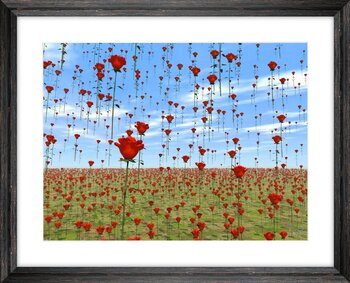 Rose rain Fabrice BECK