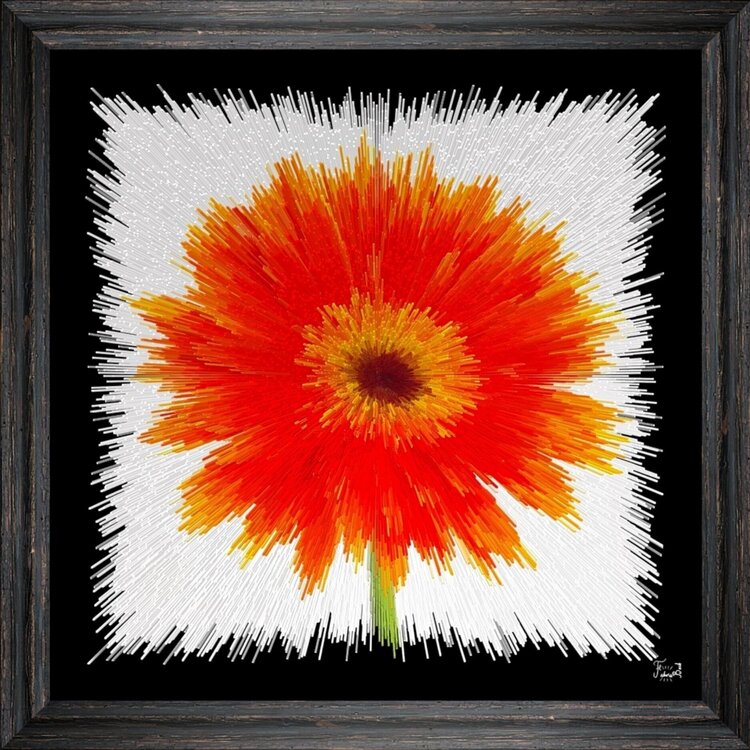 Gerbera Fabrice BECK