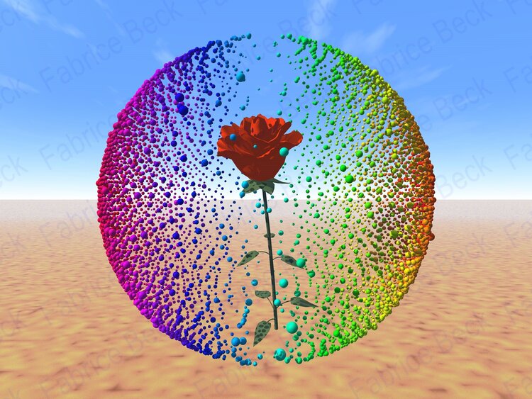 Rose in sphere Fabrice BECK