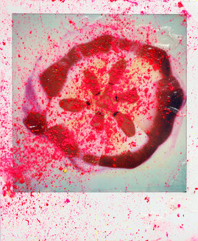 Colorful Flower Explosion No.3 Sabine Siewert