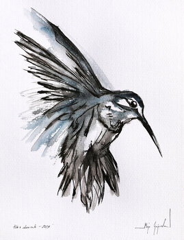Watercolor and ink - humming-bird Maja Gajewska