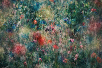 Prairie Stephanie Jung