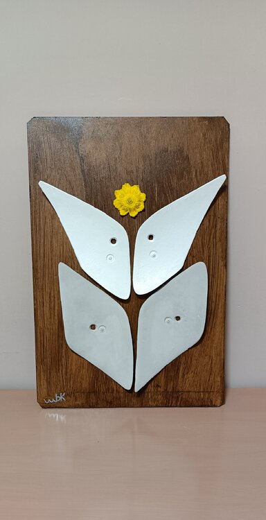 Sunflower Miquel Barran