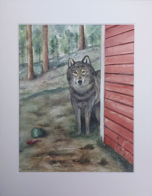 Peeking out from behind the shed Mervi Korhonen