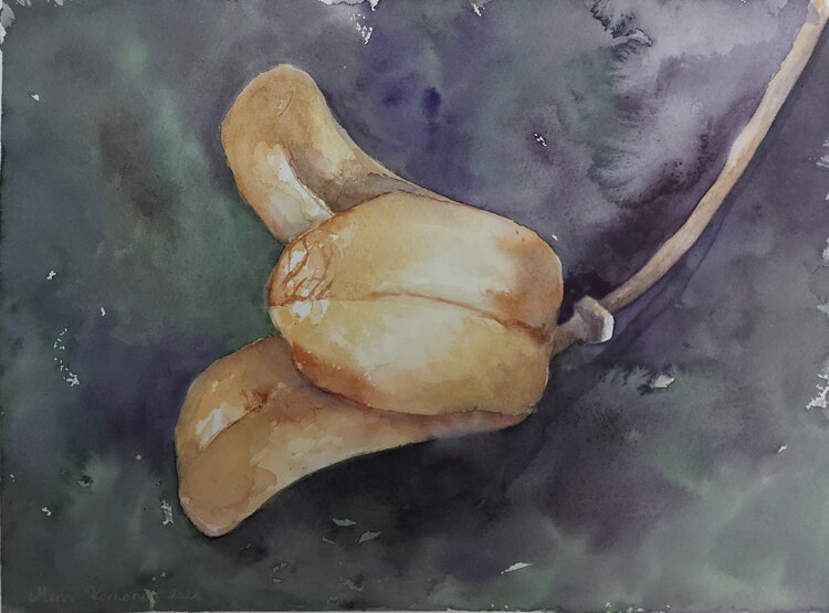 Gleam Mervi Korhonen