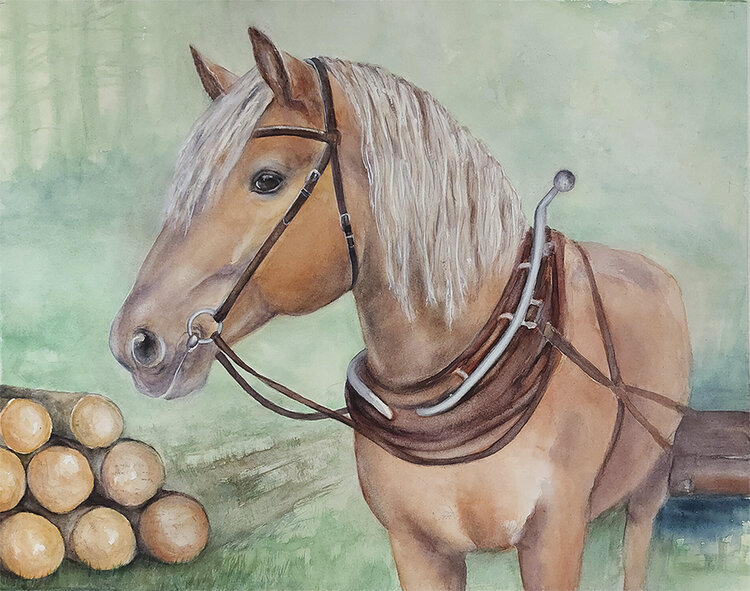 White maned horse Mervi Korhonen