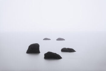 The Circle Of Zen Luis dos Santos