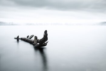 Stillness of Winter Luis dos Santos