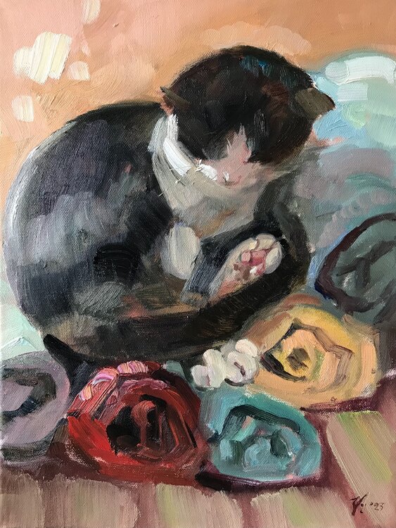 Schlafende Katze Katharina Valeeva