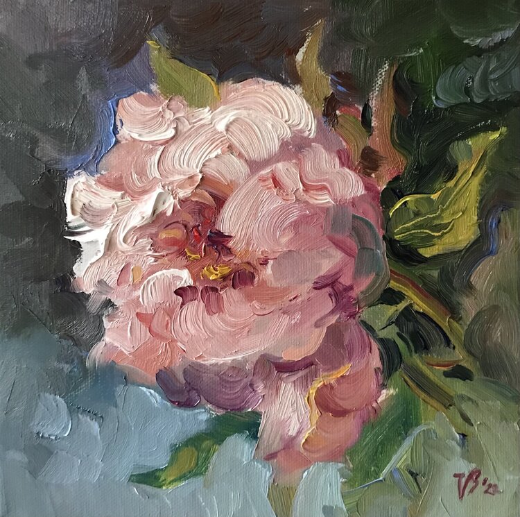 Pfingstrosen Katharina Valeeva