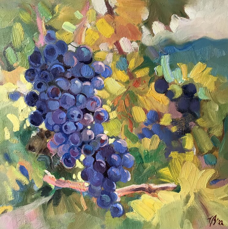 Weintrauben Katharina Valeeva