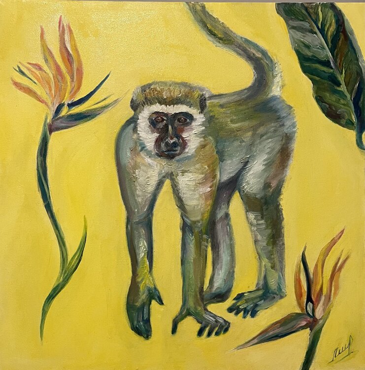 The similaries Anastasiia Levashova