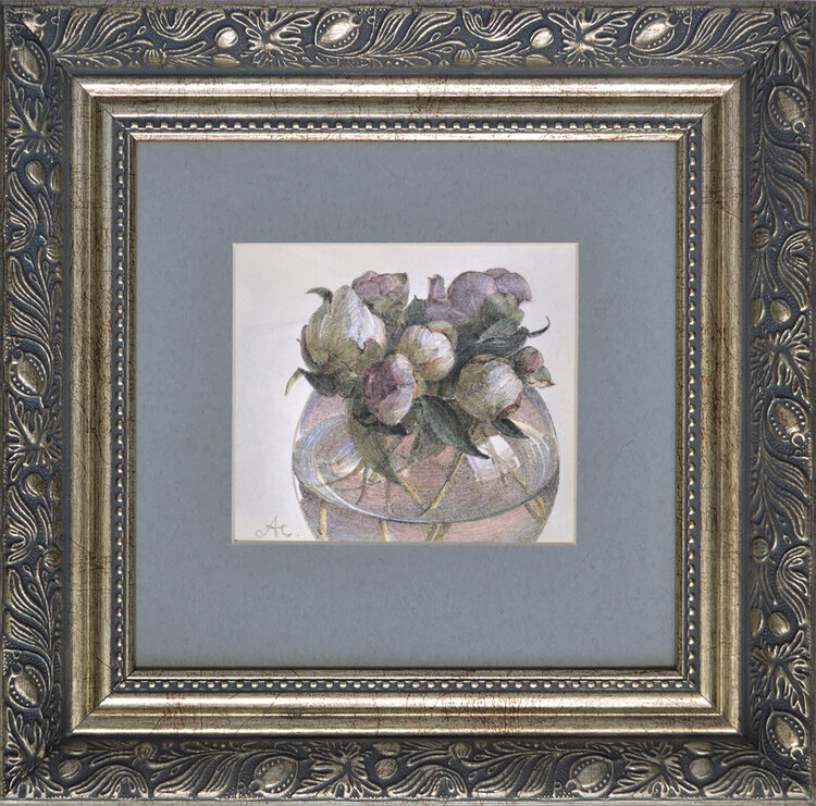 Peony buds Victoria Alferonok