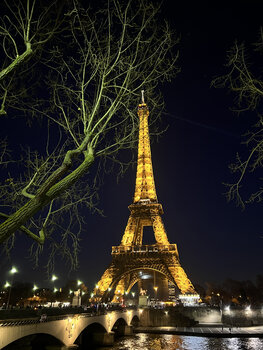 Eiffelturm bei Nacht Annett Siviglia-Mann
