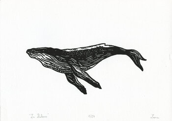 La baleine Manon Lotterie
