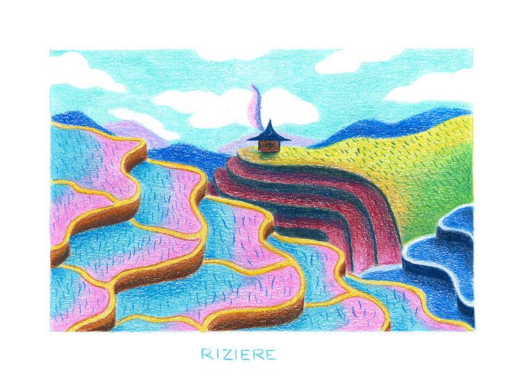 Rizière Manon Lotterie