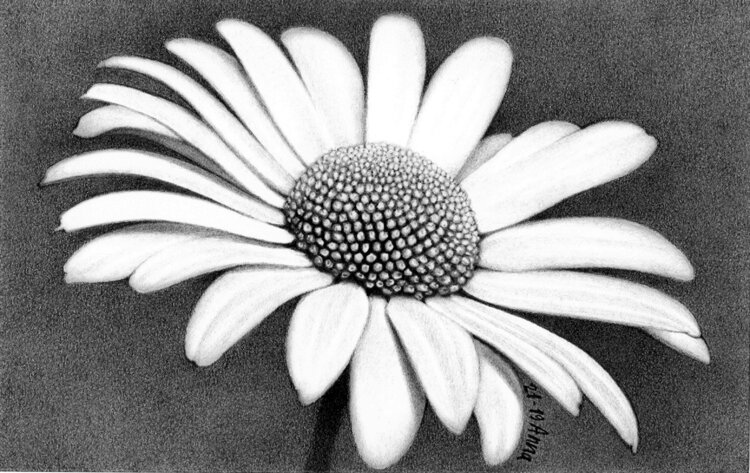 Margherita. Anna Colombo