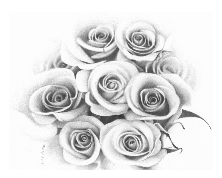 Rose rosa. Anna Colombo