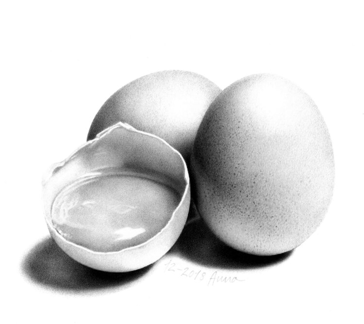 Ovum consiluim. Disegno d'uovo. Anna Colombo