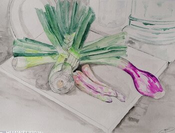 Nature morte au poireau Christiane Benoit