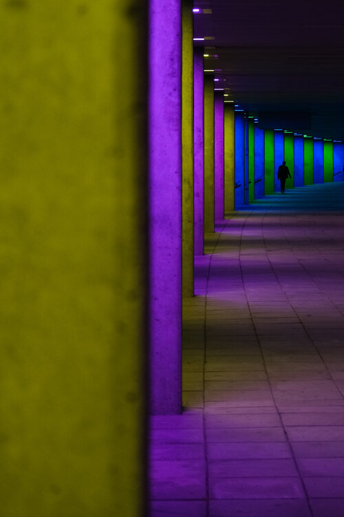 True Colours Gilliard Bressan