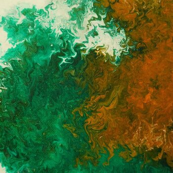 forest yannis renard