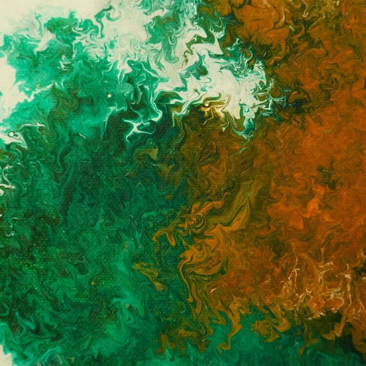 forest yannis renard