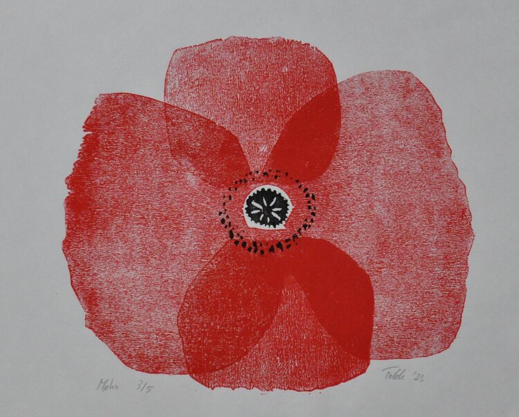 Klatschmohn Björn Felde