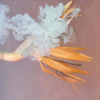 Ephemeral Flowers #19 Sara Gentilini