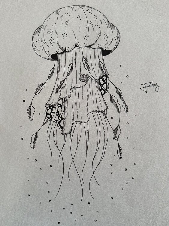 La méduse flavy caetano