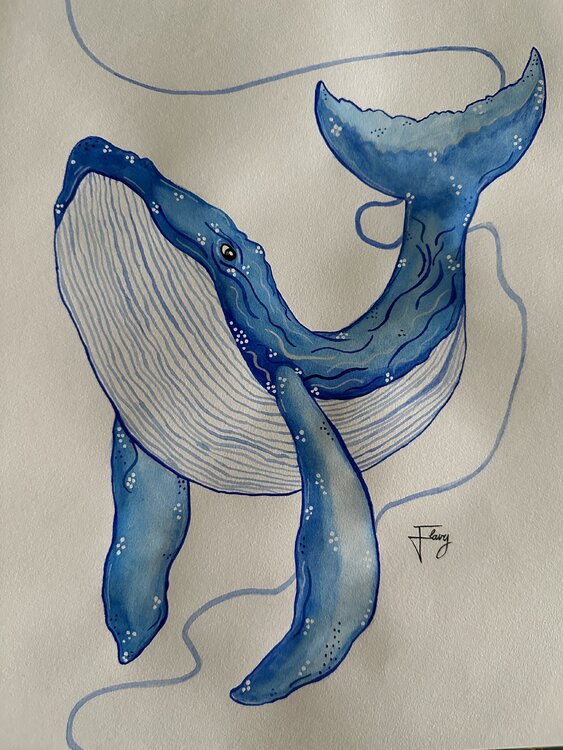 La baleine bleu flavy caetano