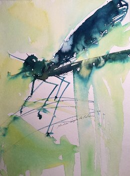 DIE LIBELLE Andrea Hupke de Palacio