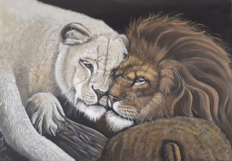 Lion Love A.G. Kunz