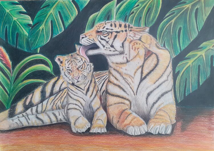 Tiger und Baby A.G. Kunz