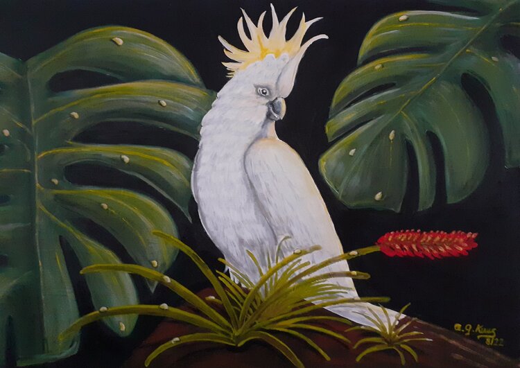 Kakadu A.G. Kunz