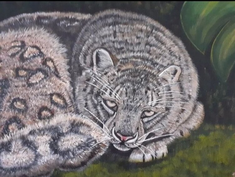 Leopard A.G. Kunz