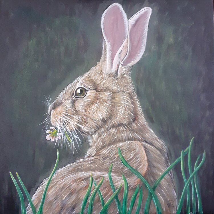 Hase im Grünen A.G. Kunz