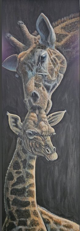 Giraffenliebe A.G. Kunz