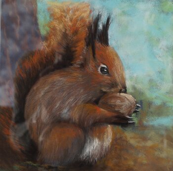 Eichhörnchen Christine Schuldhaus