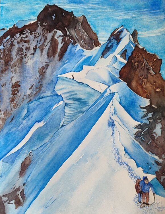 Les arêtes de Rochefort (massif du mont blanc) patricia lombard