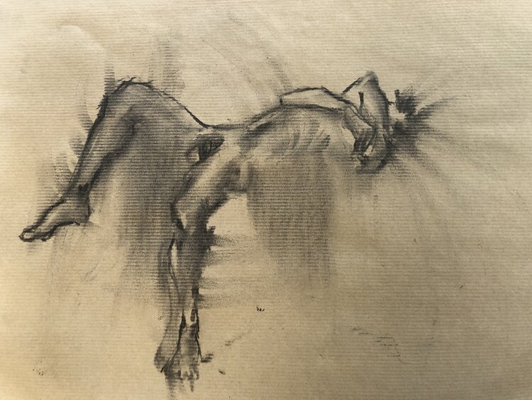 Studio D Beatrice marchese