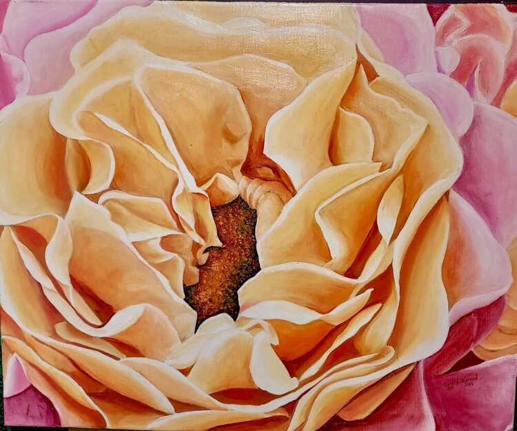 Rose jaune Jacqueline Gothie-Boraud