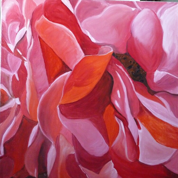Rose rouge A Jacqueline Gothie-Boraud